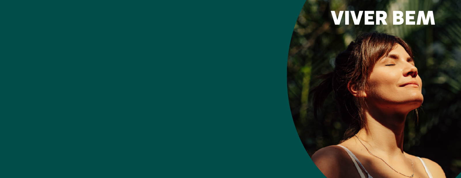 first Responsive Image