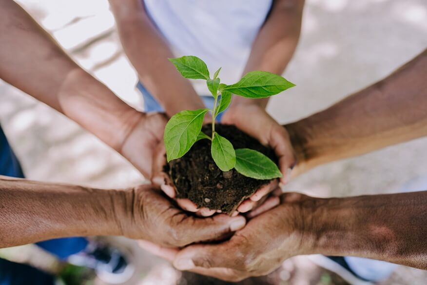 Palmas das mãos de três pessoas unidas segurando planta verde em terra fértil.